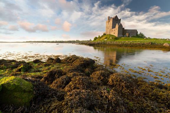 Dunguaire kasteel in Ierland