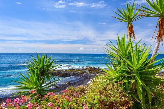 Landschap van Tenerife