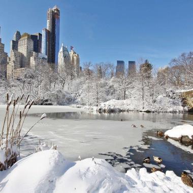 New York in de sneeuw