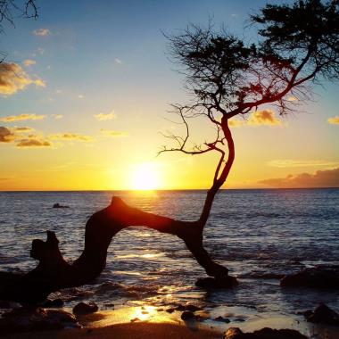 Strand op Hawaii